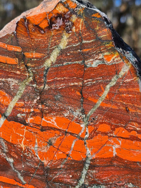 Starry Jasper polished display specimen SJ147