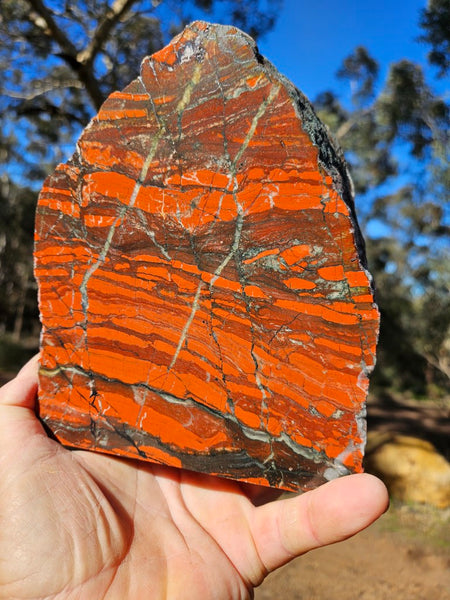 Starry Jasper polished display specimen SJ147