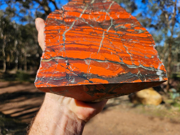 Starry Jasper polished display specimen SJ147