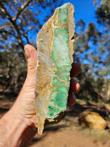 Polished Variscite   VP276