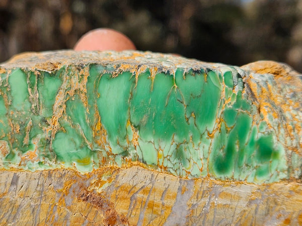 Polished Variscite   VP276