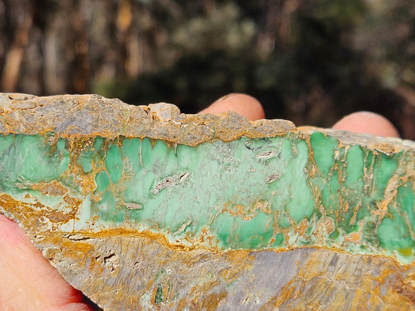 Polished Variscite   VP276