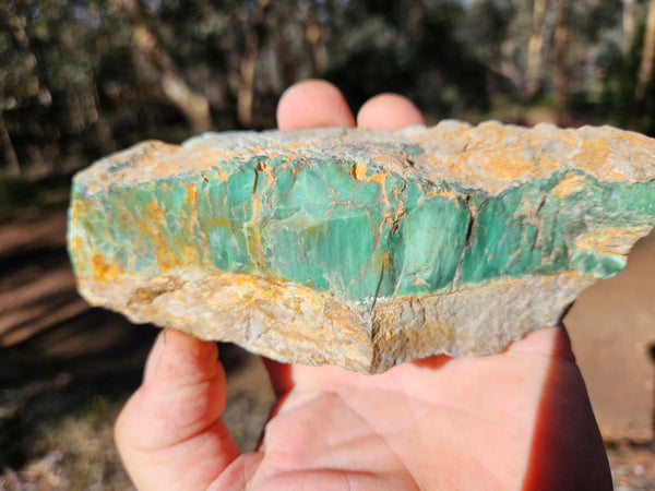 Polished Variscite   VP276