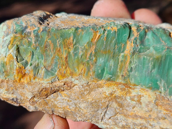 Polished Variscite   VP276