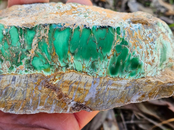 Polished Variscite   VP276