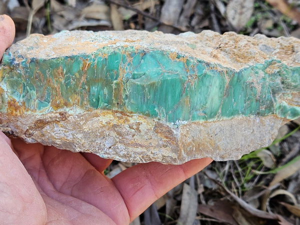 Polished Variscite   VP276