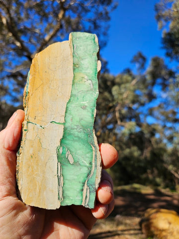 Variscite Polished Slab.  VP 275