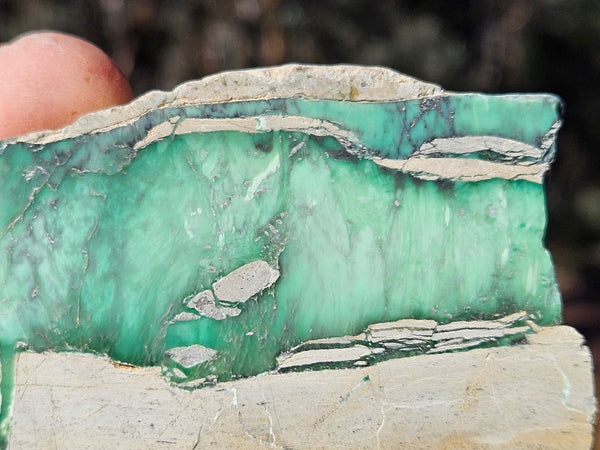 Variscite Polished Slab.  VP 275