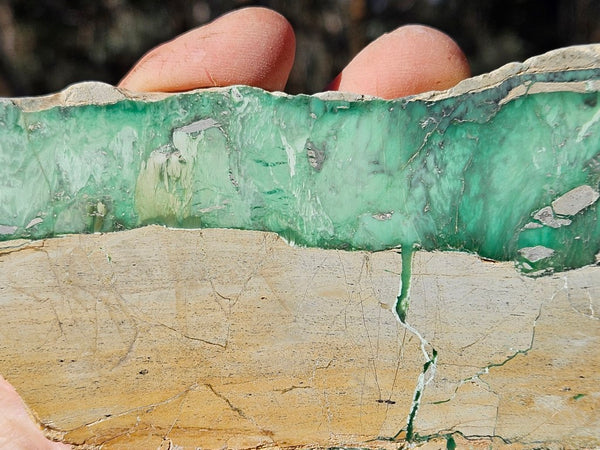 Variscite Polished Slab.  VP 275