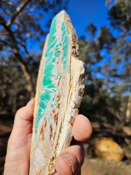 Variscite Polished Slab.  VP 274