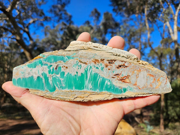 Variscite Polished Slab.  VP 274