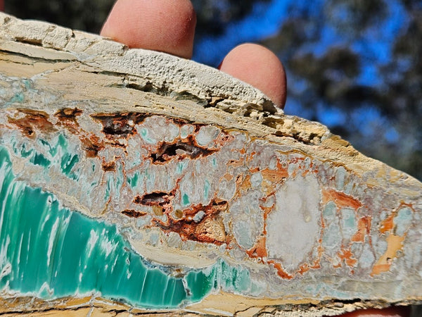 Variscite Polished Slab.  VP 274