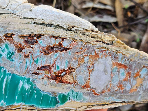 Variscite Polished Slab.  VP 274