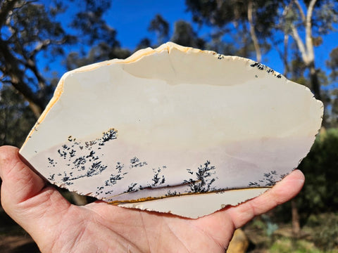 Polished Dendritic Mookaite slab MK479