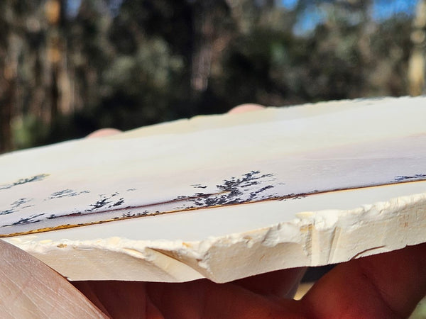 Polished Dendritic Mookaite slab MK479