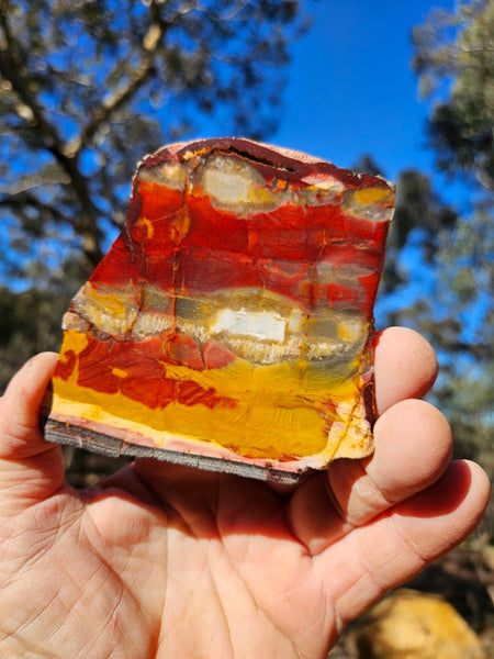 Sunset Jasper polished slab SU178