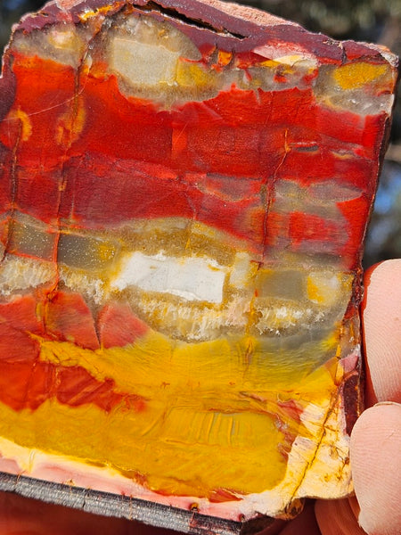 Sunset Jasper polished slab SU178