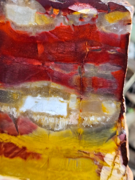 Sunset Jasper polished slab SU178