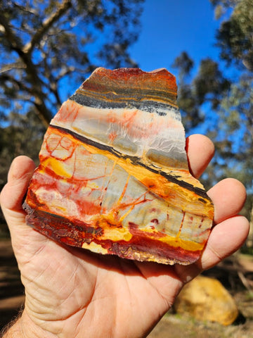 Sunset Jasper polished slab SU179