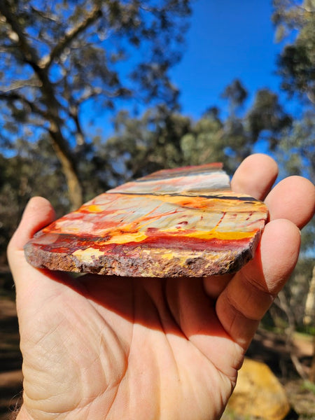 Sunset Jasper polished slab SU179