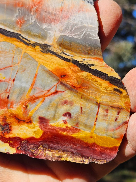 Sunset Jasper polished slab SU179