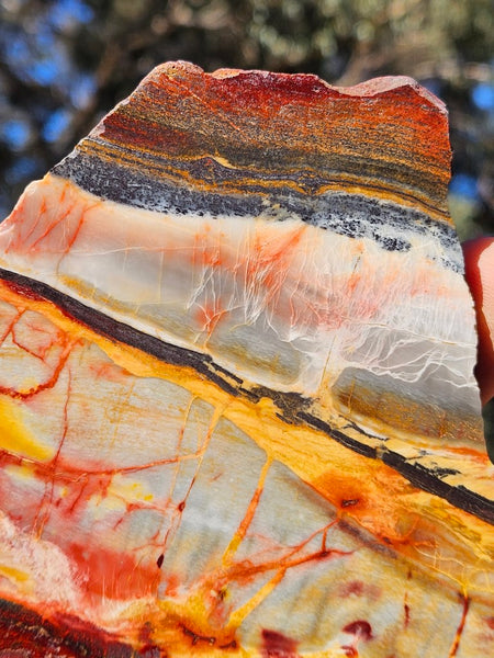 Sunset Jasper polished slab SU179