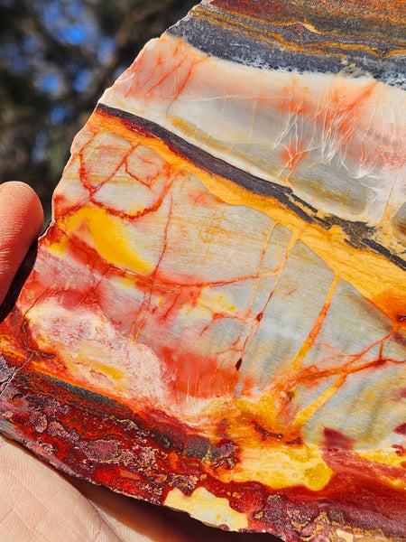 Sunset Jasper polished slab SU179