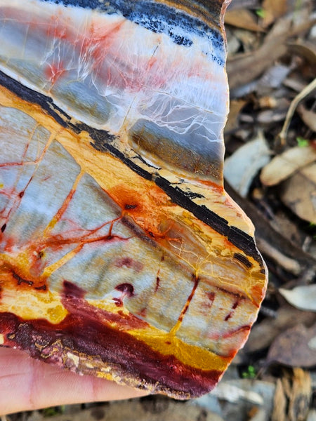 Sunset Jasper polished slab SU179