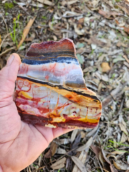 Sunset Jasper polished slab SU179