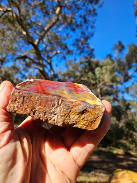 Sunset Jasper polished  SU180