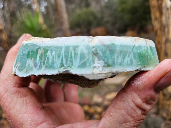 Variscite rough. VR561