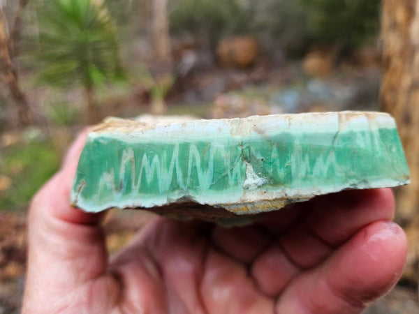 Variscite rough. VR561