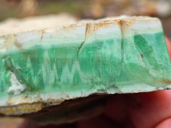 Variscite rough. VR561