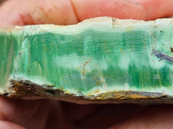 Variscite rough. VR561