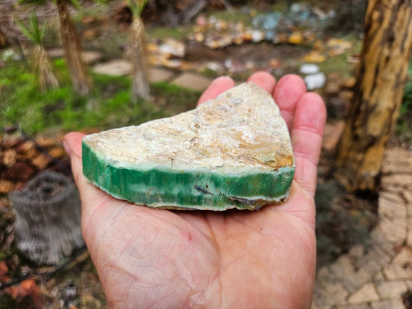 Variscite rough. VR561