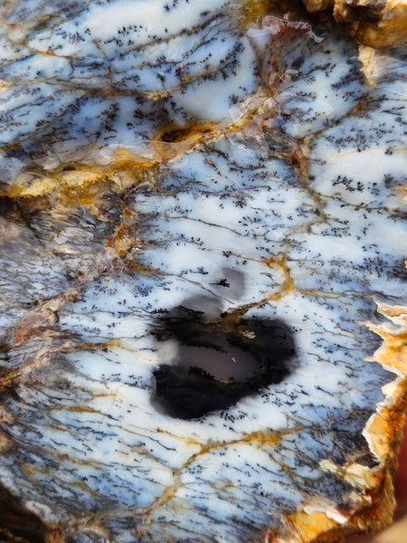 Dendritic Opal  rough.  DOR245