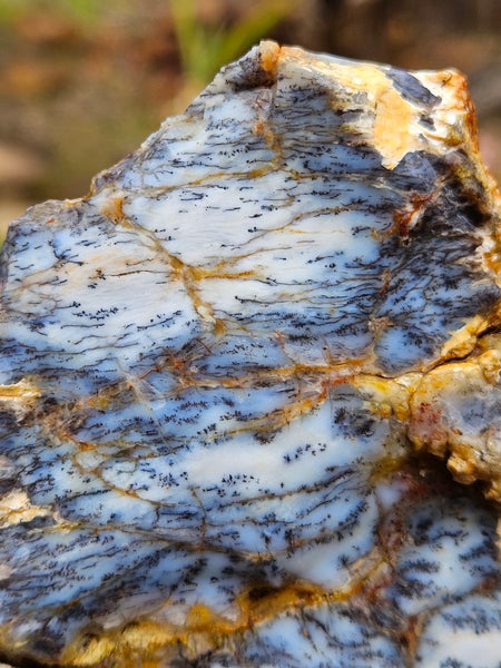 Dendritic Opal  rough.  DOR245