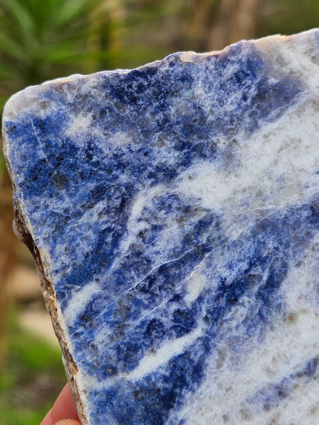 Polished Blue Lepidolite slab BL252