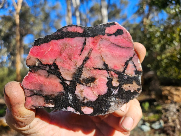 Polished Rhodonite slab RH276