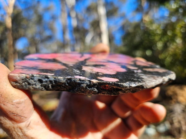 Polished Rhodonite slab RH276