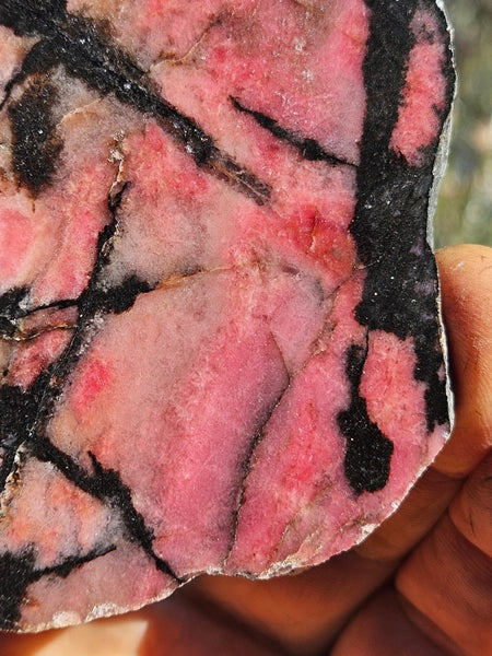 Polished Rhodonite slab RH276