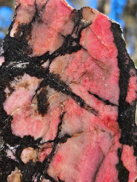 Polished Rhodonite slab RH276