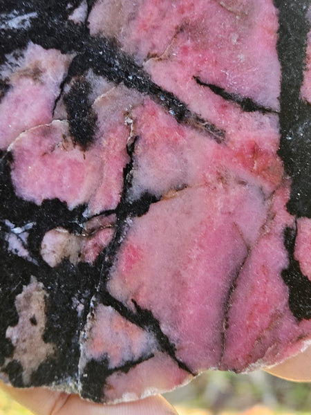 Polished Rhodonite slab RH276