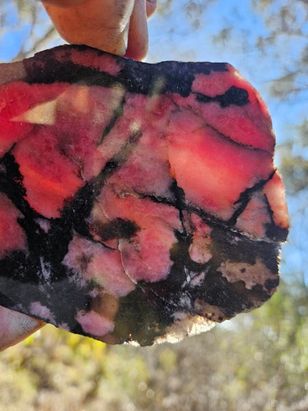 Polished Rhodonite slab RH276