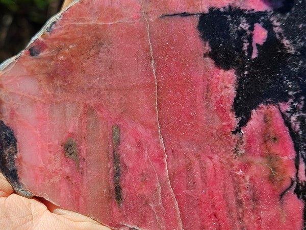 Polished Rhodonite slab RH277