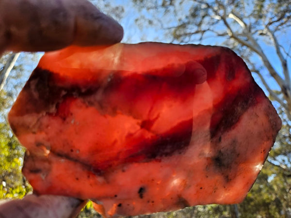 Polished Rhodonite slab RH278