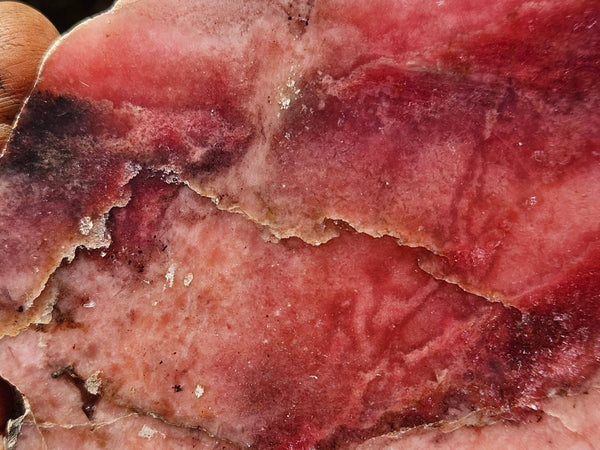 Polished Rhodonite slab RH278