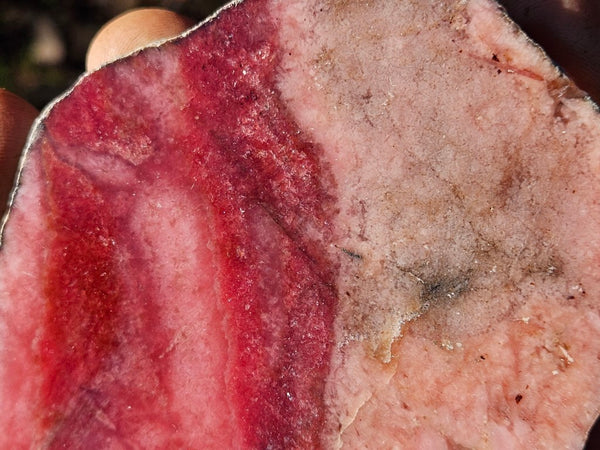 Polished Rhodonite slab RH278