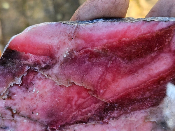 Polished Rhodonite slab RH278