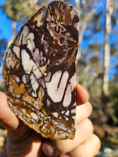 Polished Outback Jasper slab OJ180